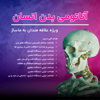 آناتومی دکتر سجاد مقدمی